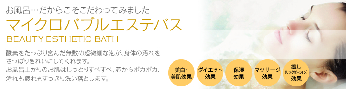 マイクロバブルエステバス